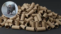 Wie Sie Mäuse in Ihrem Zuhause mit einem Toilettenbürstenhalter loswerden: eine wirksame selbstgebaute Falle