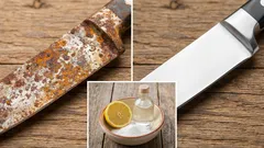 Was hilft gegen Rost: ein einfaches Produkt aus der Küche