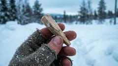 Die Alten taten dies vor dem Winter: ein kleiner Pflock, der im Frost Wunder wirkt